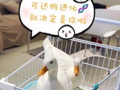 -怪兽屋·羊驼·猫咖·狗咖(俊华广场店)