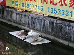 门面-润记农家菜