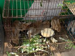 -王婆炒鱼(总店)