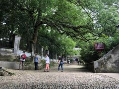 -溪口-滕头旅游景区