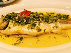 雪菜蒸大黄鱼-上海老饭店(北京分店)