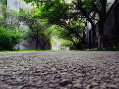 -曲阜师范大学(曲阜校区)