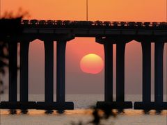 -宝安西湾红树林湿地公园