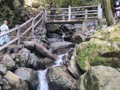 -藏龙百瀑风景区