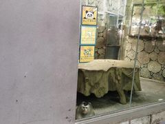 -黔灵山公园