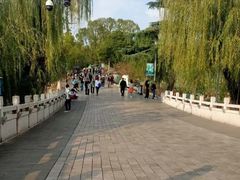 -上坐过桥米线(顺城店)