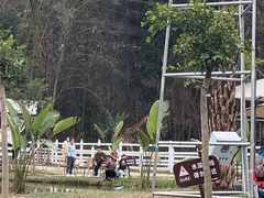 -国际非物质文化遗产博览园