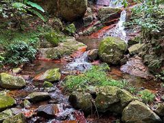 -莫干山风景区