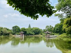 -青龙山国家森林公园
