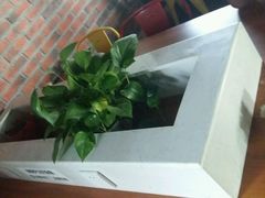 -潘氏凉皮(迎宾南路店)