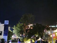 -邛海风味特色菜馆