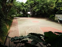 -南岗山公园