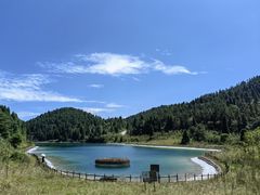 -武陵山森林公园