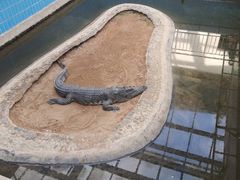 -太原动物园