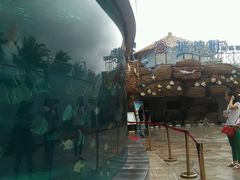 -瑞德姆美人鱼海底演艺主题餐厅(亚龙湾店)