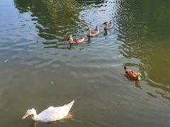 -天目湖涵田半山温泉