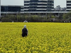 -西海岸生态观光园