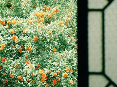 -南浔古镇