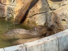 -海合安成都极地海洋公园