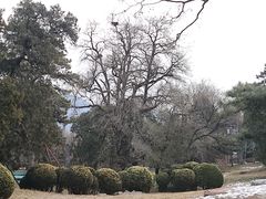 -香山公园