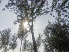 -汉长安城未央宫国家考古遗址公园