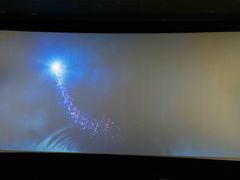 -AMG海上明珠影城(上海环球港RealDCinema店)
