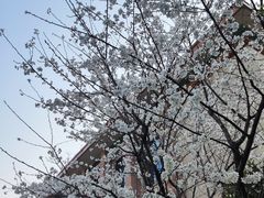 -乐刻健身(转塘华润万家店)