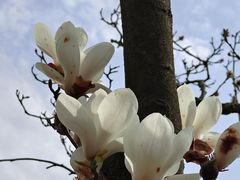 -宜兴龙背山森林公园