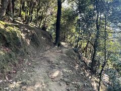 -南山植物园