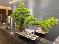 -华夏良子·足道SPA艾灸(铁道大厦店)