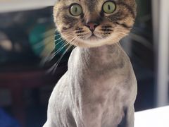 -金杨新村六街坊