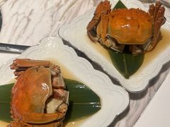 -汤城·料青山