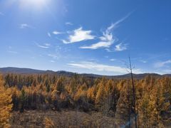 -莫尔道嘎国家森林公园