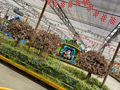 -南宫五洲植物乐园