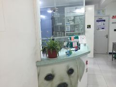-思宇宠物医院
