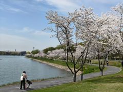 -羊山湖公园