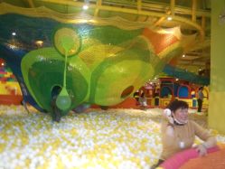 -宝燕乐园(闵行旗舰店)