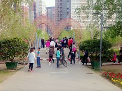 -长白岛森林公园