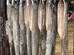 -南沙十九涌渔人码头-南门