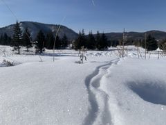 -北极村旅游风景区