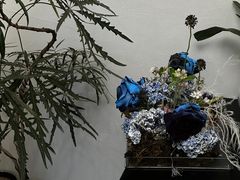 -你好独角兽·蛋糕甜品