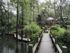 -广州兰圃