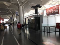 -中部国际机场