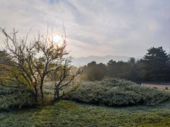 -秦始皇帝陵博物院(兵马俑)