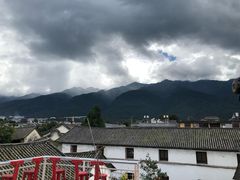 -喵屿·大理花园猫咖