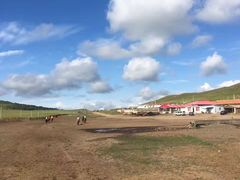 -塞罕坝国家级自然保护区