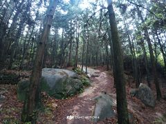 -大罗山风景区