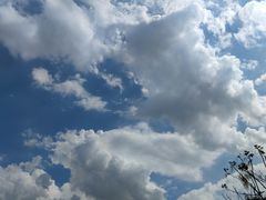 -飞翔公园(地铁站)