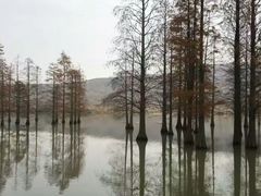 -北极阁公园
