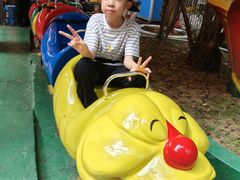 -顺德大良半月城游乐场